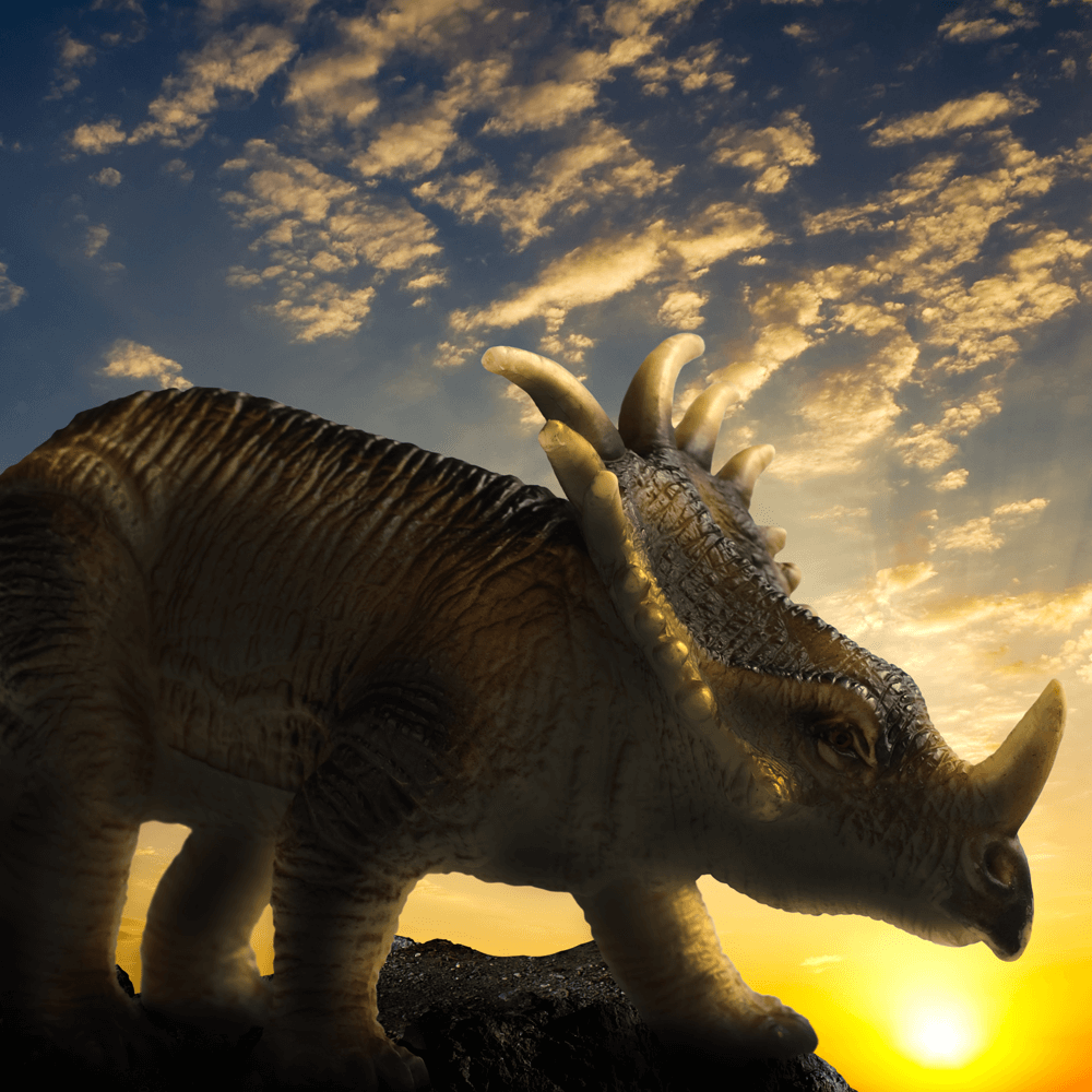 Dinosaurs park
