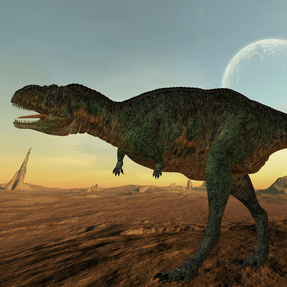 Dinosaurs park