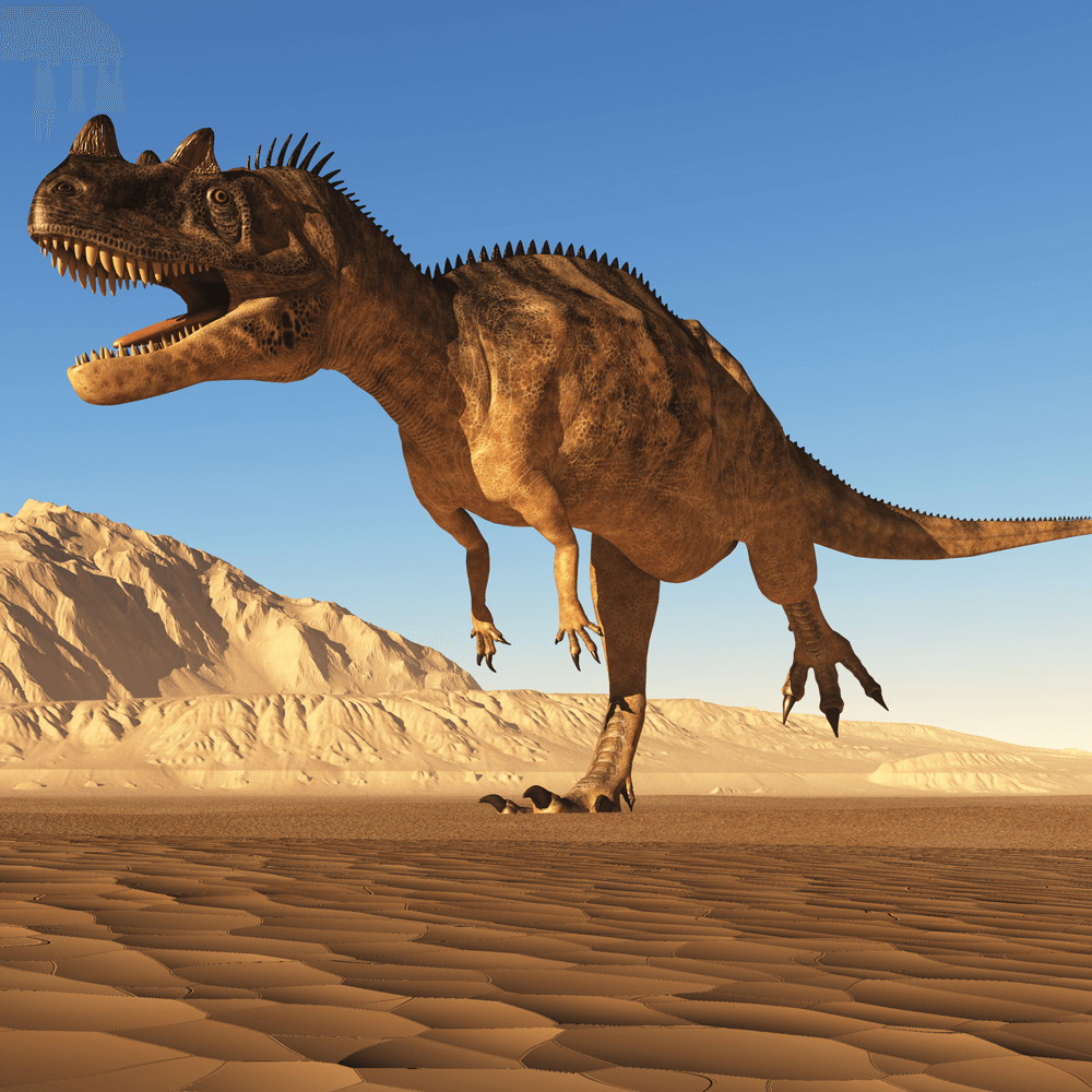 Dinosaurs park