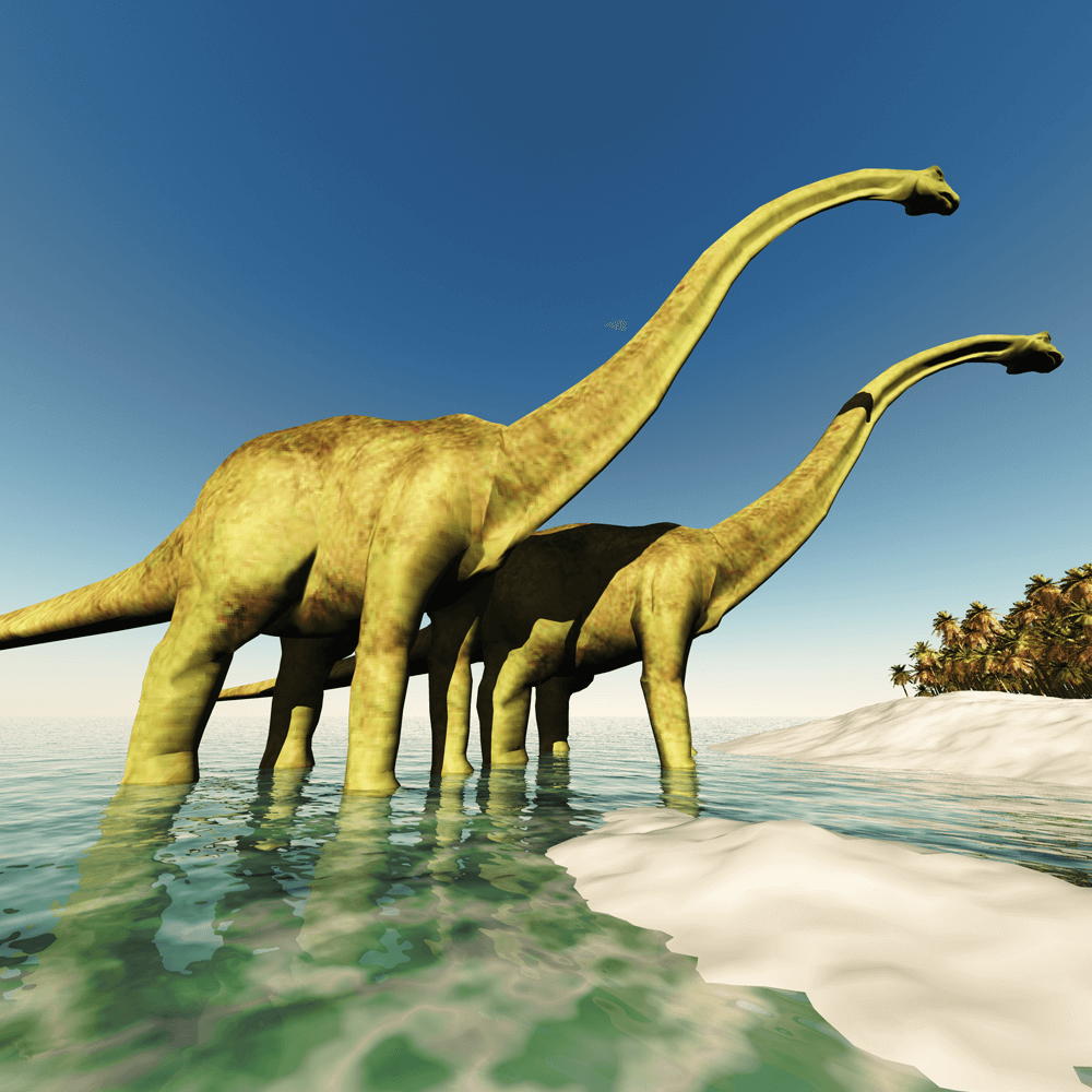 Dinosaurs park