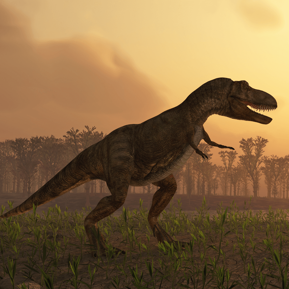 Dinosaurs park