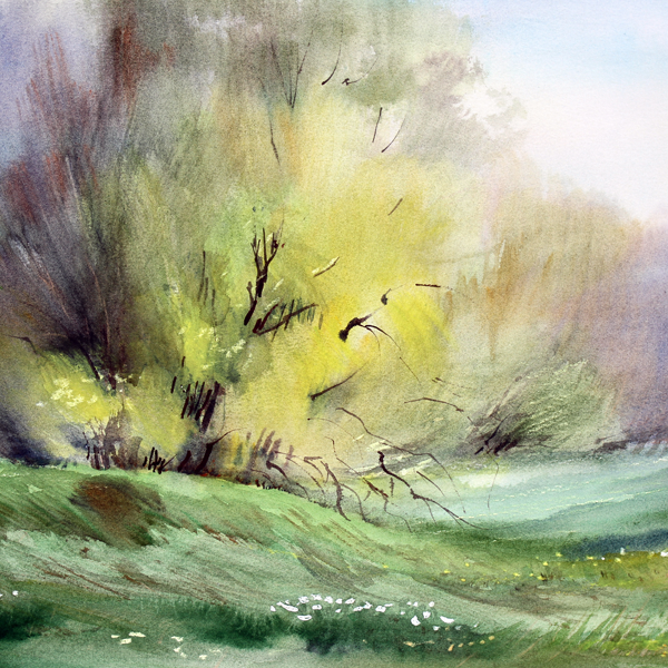 Nature original