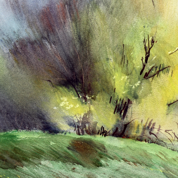 Nature original