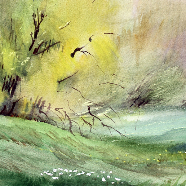 Nature original