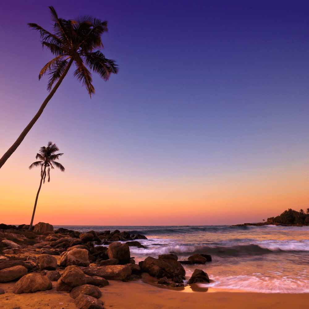 Tropical beach at sunset